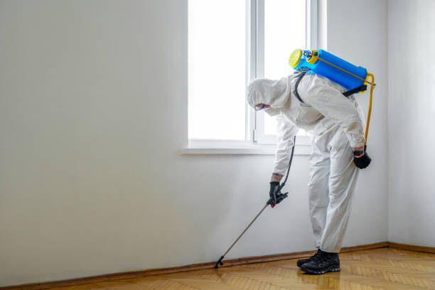 Best Best Pest Control Companies  in Fruitland Park, FL