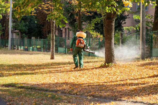 Best Best Pest Control Companies  in Fruitland Park, FL